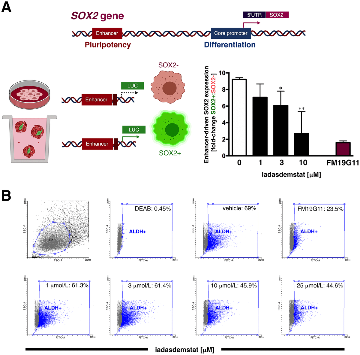 The LSD1 Inhibitor Iadademstat (ORY-1001) Targets SOX2-driven Breast ...