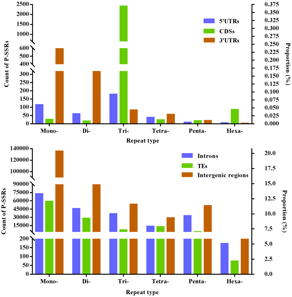 The proportion of mono- to hexanucleotide P-SSRs in different genomic regions of FMD genome.