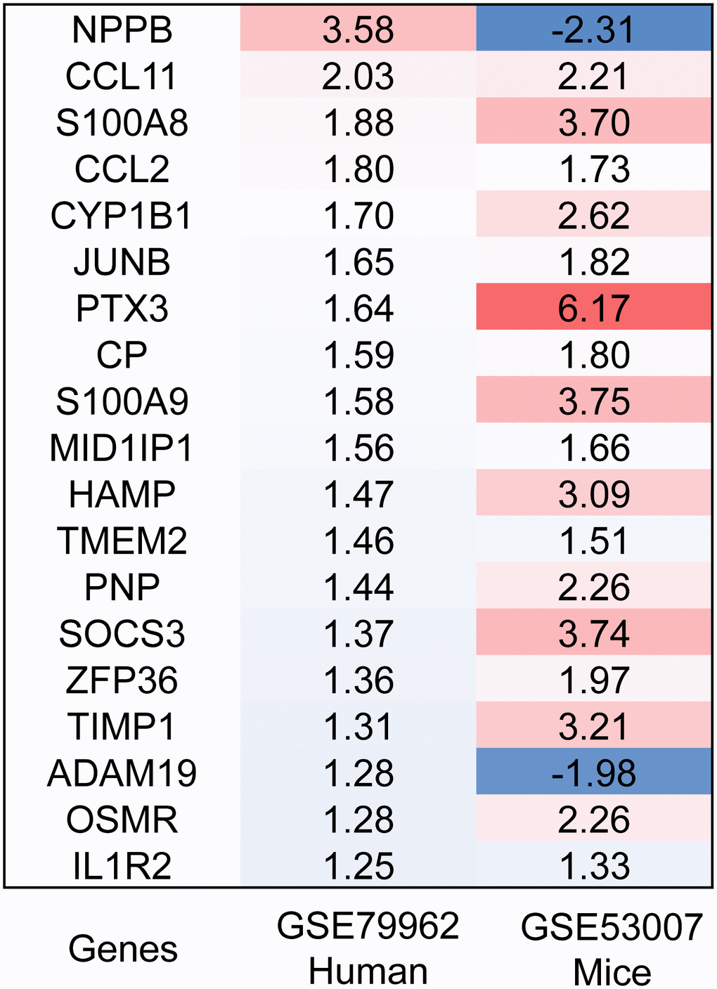 Heatmap of DEGs. The expression levels of the 19 overlapped genes in human and mouse sepsis-injured myocardium. DEGs, differentially expressed genes. Red, greater expression. Blue, less expression.