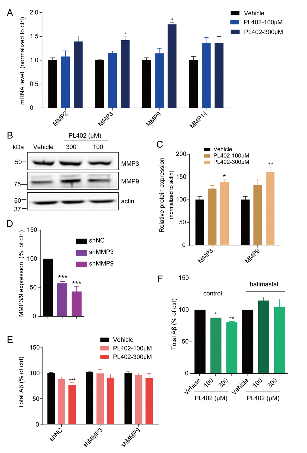 PL402 promotes the expression of MMP3 and MMP9 which are involved in the effect of PL402 on Aβ level modulation. (A) The mRNA level of Aβ degradation enzymes (MMPs) in SK-N-SH cells treated by vehicle (0.1% DMSO) or PL402 at 100μM and 300μM for 24h. N=4. (B–C) Representative image of a western blot showing the expression of MMP3 and MMP9 in SK-N-SH cells after treatment with vehicle (0.1% DMSO), or PL402 at 100μM and 300μM for 24h. Actin was used as a loading control (B). (C) The quantification analysis of (B) using ImageJ. N=3. (D) The mRNA level of MMP3 and MMP9 in SK-N-SH cells with the infection of scrambled, MMP3 or MMP9 gene-specific shRNA. N=4. (E) The levels of total Aβ produced by SK-N-SH cells measured by ELISA after treatment with vehicle (0.1% DMSO) or PL402 at 100μM and 300μM for 24 h in the cells infected with scrambled, MMP3 or MMP9 gene-specific shRNA. N=4. (F) The total Aβ level in SK-N-SH cells with presence or absence of the PL402 for 24h after pretreatment with vehicle (0.1% DMSO), or 10μM MMP inhibitor (batimastat) for 1h. N=3. Data are presented as the mean ± SEM, n >3 independent experiments. *p