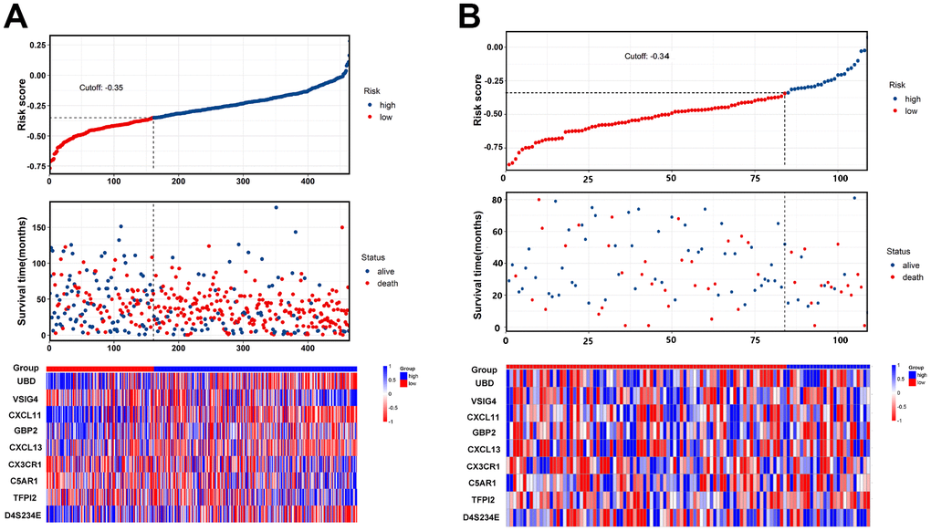 The nine-gene signature predicts overall survival with ovarian cancer. (A, B) The distribution of risk score, overall survival, vital status, and the heat map of the nine gene expression profile in the training cohort and validation cohort.