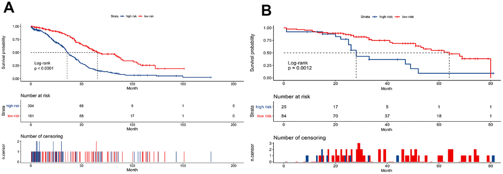 Kaplan-Meier curves to compare overall survival of high-risk and low-risk groups based on the nine-gene signature in the training cohort (A) and validation cohort (B).