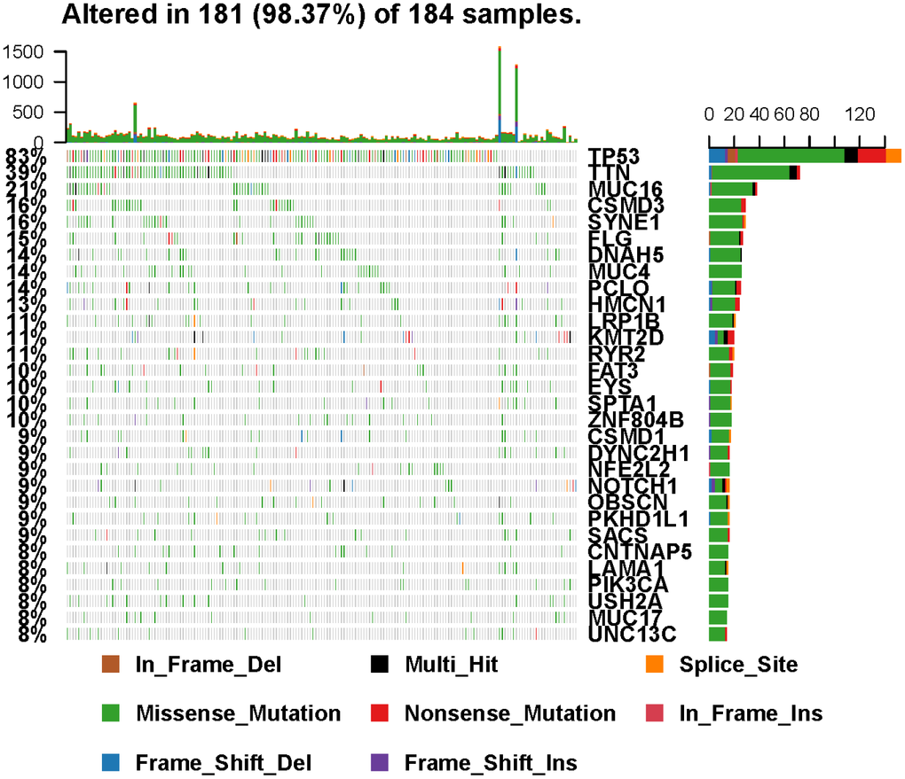Landscape of mutation profiles in EC samples. Mutation information of each gene in each sample was shown in the waterfall plot, in which various colors with annotations at the bottom represented the different mutation types. The barplot above the legend exhibited the mutational burden.