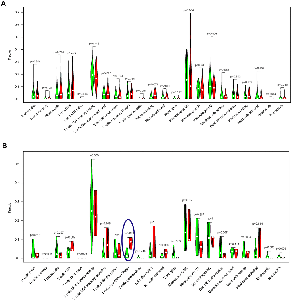 Comparisons of 22 important immune fractions between the TMB-H and TMB-L groups. (A) No significant difference of the 22 important immune cell infiltration between the TMB-H and TMB-L groups in EC patients with radiotherapy; (B) The levels of Tregs cell infiltration in the TMB-L group were lower compared with those in the TMB-H group of EC patients without radiotherapy.