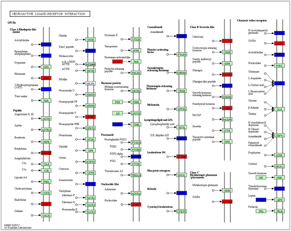KEGG pathway map showing change of neuroactive ligand-receptor interaction. DEGs with relatively increased and reduced expression were shown in red and blue, respectively, while green represented background genes. KEGG pathway only at week 4 was showed.