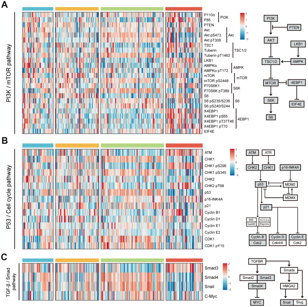 Integrative Analysis Of DNA Methylation And Gene Expression Reveals ...