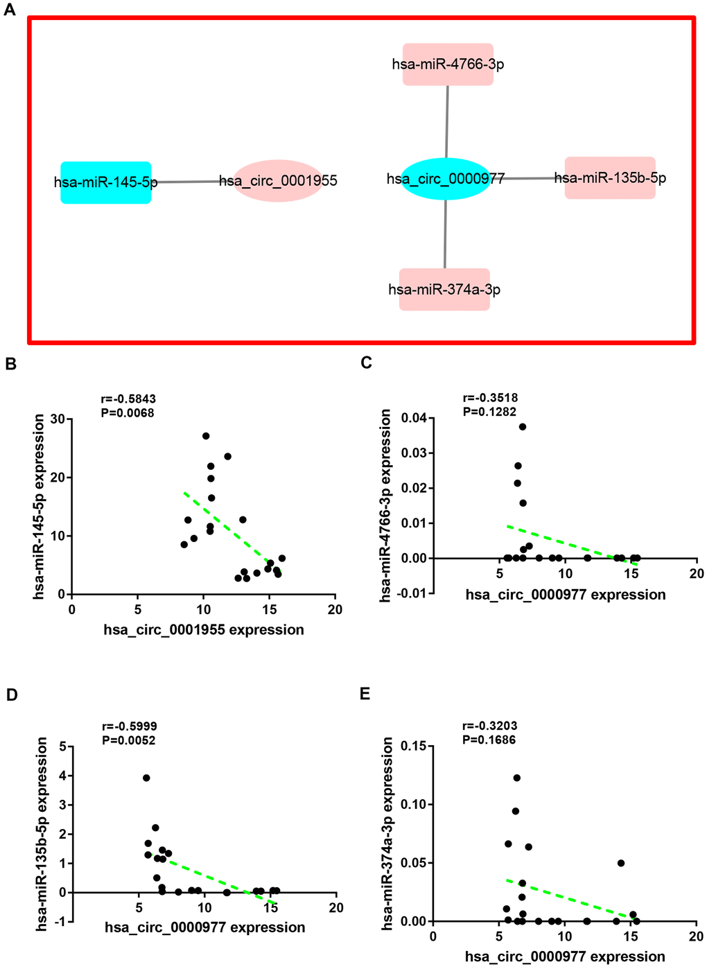 Correlation analysis for potential circRNA-miRNA pairs in colorectal cancer. (A) The circRNA-miRNA sub-network of interest. (B) The correlation of hsa
