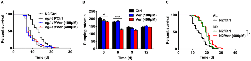 Verapamil acts on the α1 subunit of an L-type calcium channel in C. elegans. (A) Verapamil (100 μM and 400 μM) did not extend the lifespan of egl-19 mutant worms expressing a defective L-type Ca2+ channel α1 subunit. (B) Verapamil (400 μM) decreased the pharyngeal pumping rate, especially at day 3 and 6; however, 100 μM verapamil had no effect on the pumping rate. A two-way ANOVA along with Sidak multiple comparisons test was used to calculate the P-values and error bars represent SEM. (C) Verapamil (400 μM) extended the lifespan even under bacterial dilution conditions (*P P-value in (A) and (C).