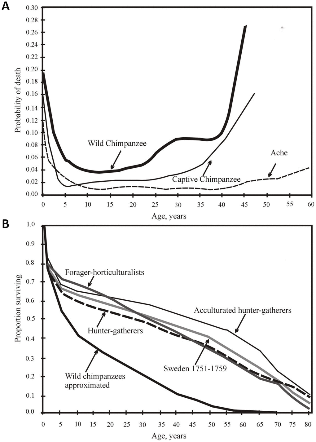 (A) from [44], with minor modifications. Yearly mortality of captive and wild chimpanzees [data from 43] and Ache Indians of Paraguay [32]). (B) from [47]. Survival of chimpanzees in the wild and the survival of various wild tribes of South America, Africa and Asia, and Swedes in 1751-1759.