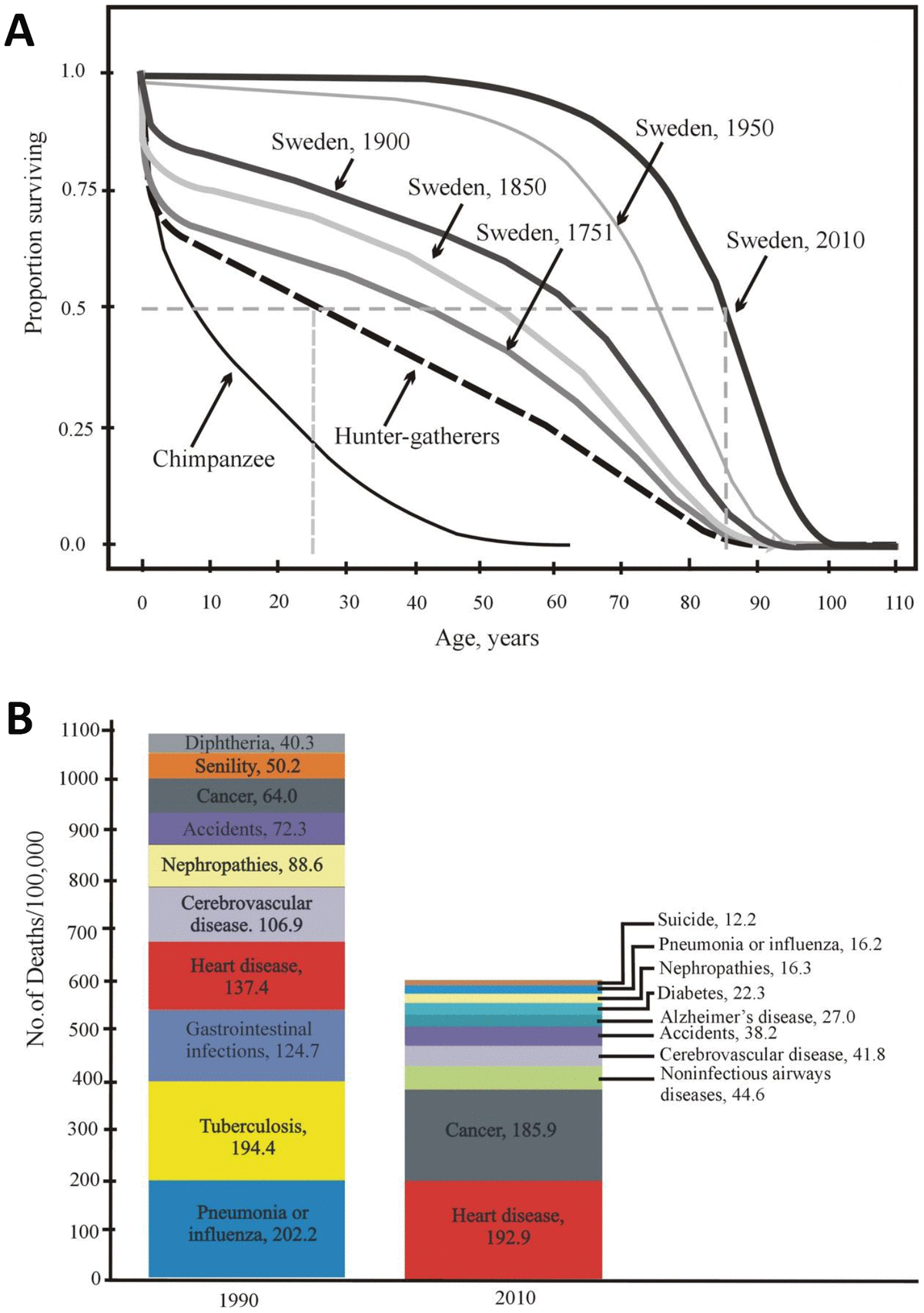 perspectives-of-homo-sapiens-lifespan-extension-focus-on-external-or