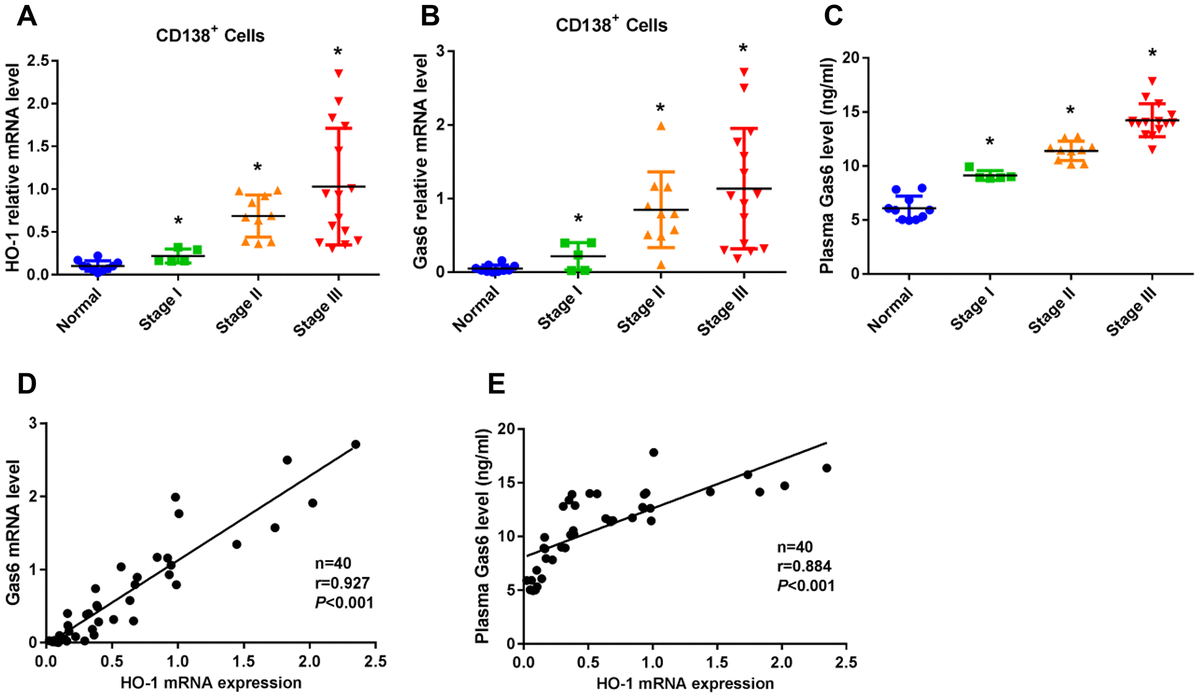 Heme Oxygenase-1 Inhibition Mediates Gas6 To Enhance Bortezomib ...