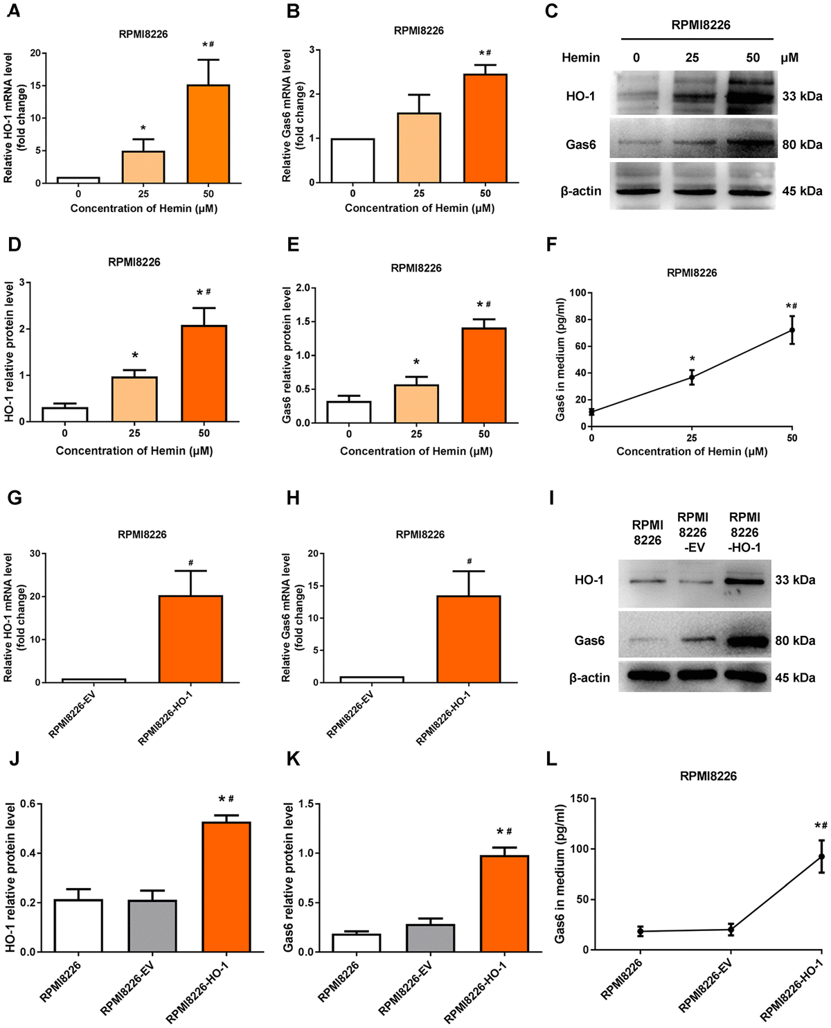 Heme Oxygenase-1 Inhibition Mediates Gas6 To Enhance Bortezomib ...