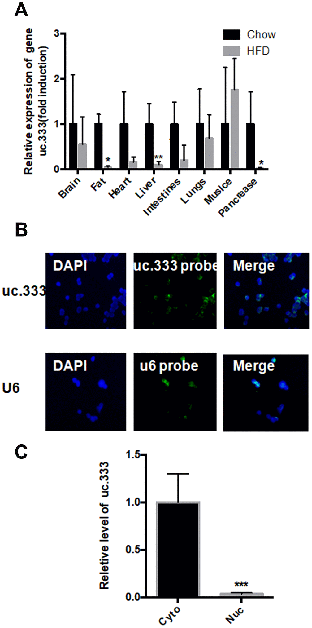 Distribution of uc.333 in various tissues and in hepatocytes. (A) Distribution of uc.333 in various tissues of HFD-fed mice (n = 5). (B) Representative images of FISH detecting endogenous lncRNA uc.333 molecules (green) in HepG2 cells. Nucleus (blue) was stained with DAPI. Scale bar, 25 μm. (C) Cellular fractionation assay in HepG2 was performed using quantitative real-time PCR using a specific cytosol control (tubulin) and a specific nuclear control (gene histone). Data are mean ± SEM; *P P P 