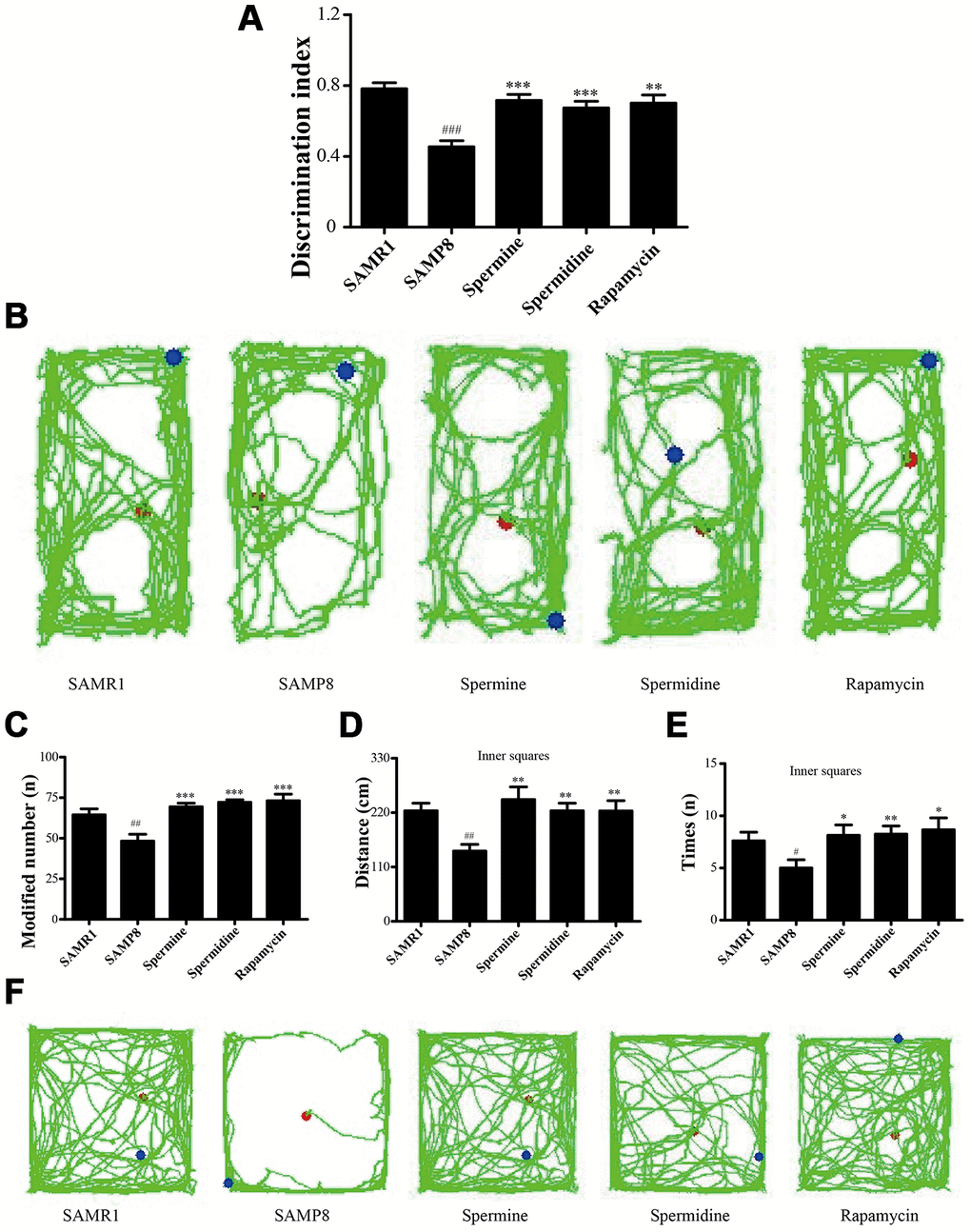 Spermidine and spermine ameliorates cognitive dysfunction in behavioral test in SAMP8. (A, B) Discrimination index and paths in novel object recognition. (C) The modified number in open field test. (D) The distance of inner squares in open field test. (E) Time spent in the inner squares in open field test. (F) The paths of respective groups. Data represent mean ± SEM (n = 10 per group). #P ##P ###P P P P 