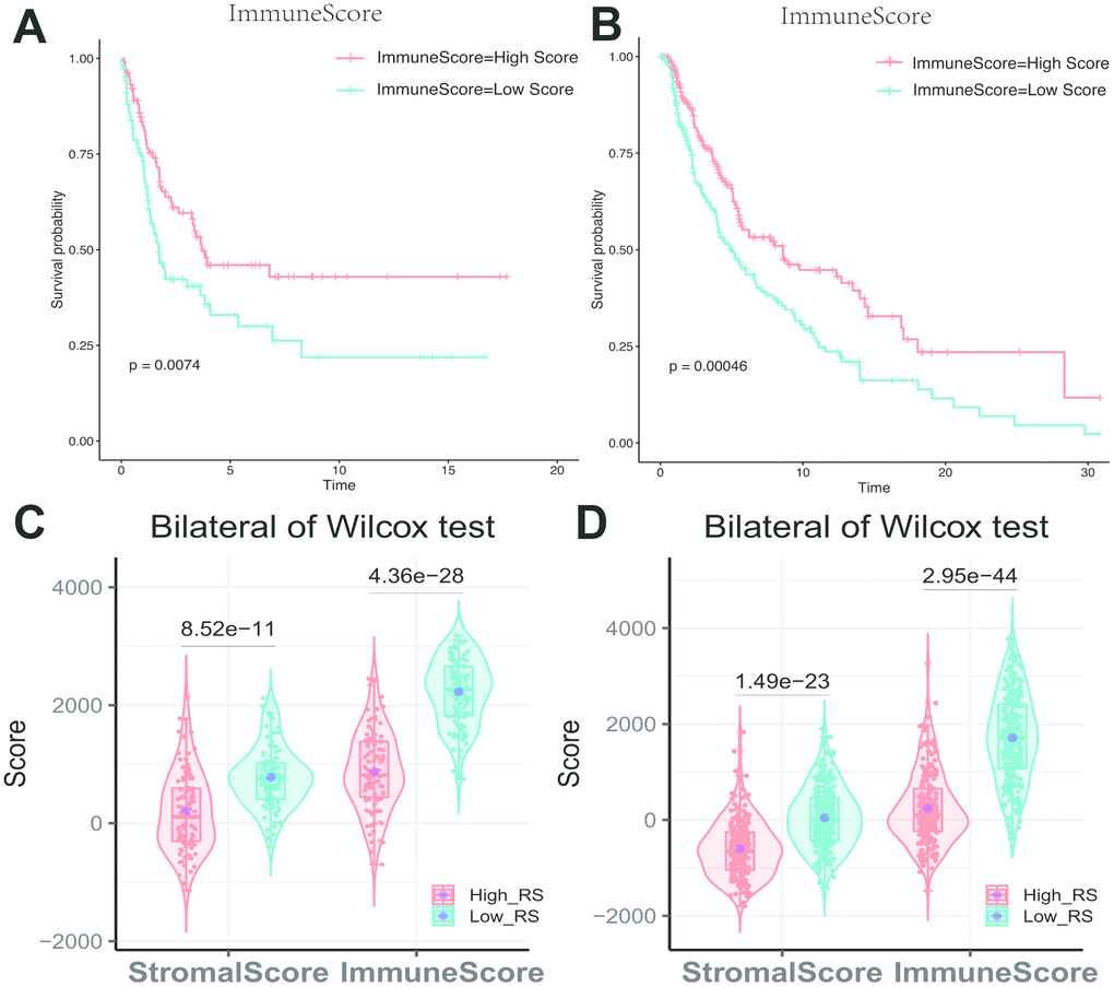 (A) Impact of immune score on overall survival in melanoma based on KM analysis. (A) GSE cohort. (B) TCGA cohort. (C, D) Association with immune score, stromal score and risk score. The high-RS group showed lower immune score and stromal score comparing with low-RS group. (C) GSE cohort. (D) TCGA cohort.