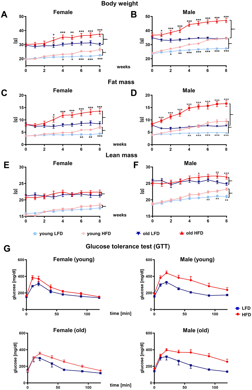 Effect of HFD vs. LFD on body weight (A, B), fat mass (C, D), lean mass (E, F) and glucose tolerance test (G) of B6 female (A, C, E, G) and male (B, D, F, G) mice. Body weight and body composition analyzed by nuclear magnetic resonance (NMR), were measured weekly during 8-week feeding study (n=192 total mice including: n=96 per LFD and n=96 per HFD). Data are the lsmean ±SE, asterisks indicate significant differences between animals fed HFD vs LFD *p