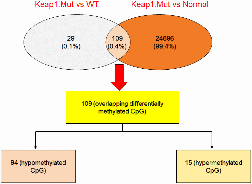 Integrative analysis to cross-check the differentially-methylated CpG sites in KEAP1-mutated LUAD. Venny diagram showing the differentially-methylated CpG sites overlapping between KEAP1-mutated versus wild-type and KEAP1-mutated versus normal datasets.