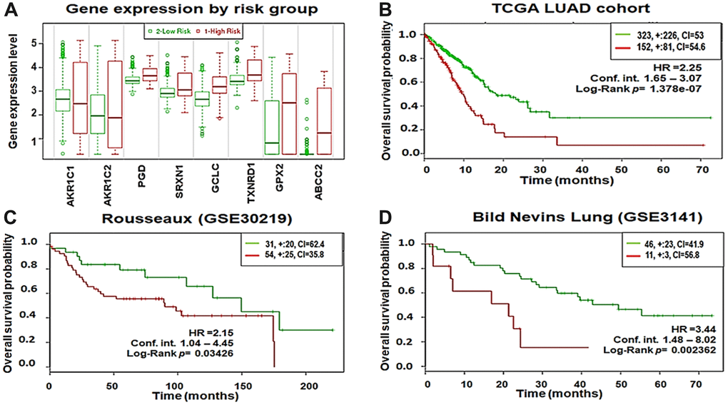 Eight-gene signature predicts poor survival in three independent cohorts. (A) Box plots showing the expression differences of the 8-gene signature in low (green) and high (red) risk groups of TCGA–LUAD patients (y-axis, gene expression value of each gene). (B) Kaplan-Meier survival plots showing that high expression of the 8-gene signature was associated with poor survival in TCGA–LUAD patients. (C) Rousseaux (GSE30219) cohort. (D) Bild Nevins Lung (GSE3141) cohort. Red, high-risk group; green, low-risk group; top right corner inset, numbers of high- and low-risk samples (+, numbers of censored samples) and concordance index (CI) of each risk group (x-axis, time (months); y-axis, overall survival probability; HR, hazard ratio; Conf.Int. confidence interval).