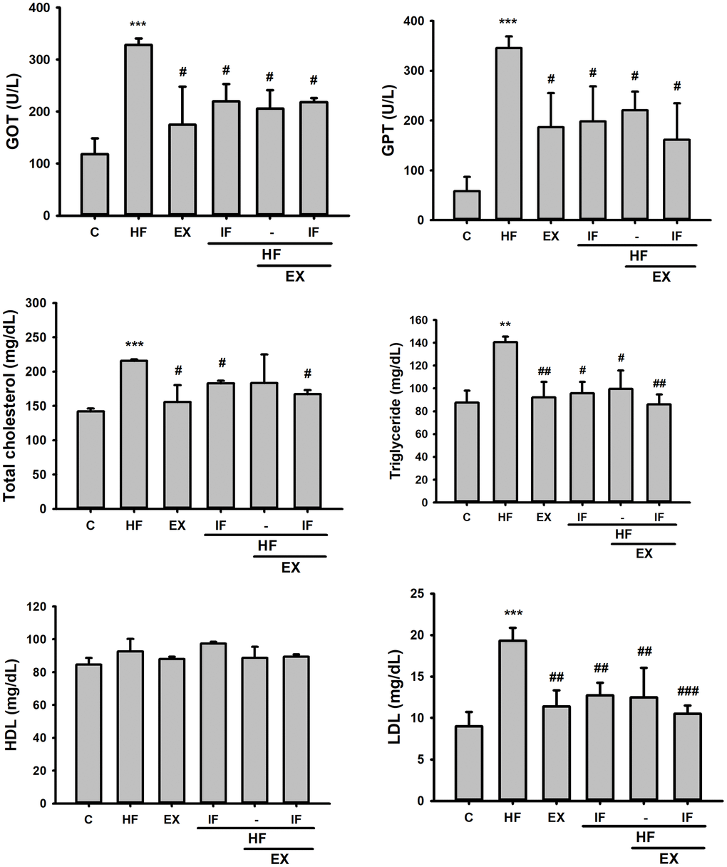Effect of IF and Exercise on Serum biochemical markers for heart and liver tissue damages. Biochemical analysis after IF administration and 15 weeks of exercise training show the difference in plasma glutamic oxaloacetic transaminase (GOT) and glutamic pyruvic transaminase (GPT) levels and serum levels of total cholesterol, Triglycerides, high-density lipoprotein cholesterol (HDL-C), low-density lipoprotein cholesterol (LDL-C) and blood glucose among the different SAMP8 mice groups (n=6). C: Control; HF: High-fat diet; EX: Exercise; HF+IF: High-fat diet+IF; HF+EX: High-fat diet+ Exercise; HF+EX+IF: High-fat diet+ Exercise+ IF. Bars indicate the mean ± SEM obtained from experiments performed in triplicate. **P***P#P##P