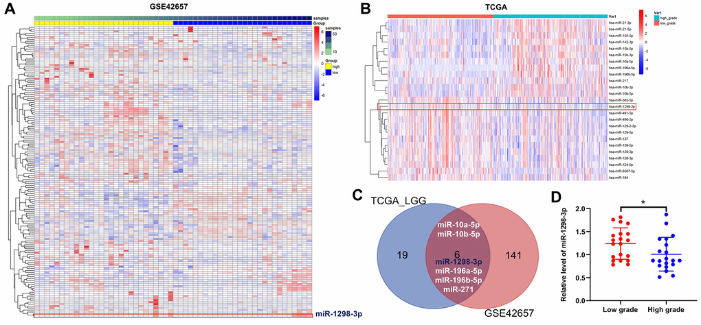 Identification of DEMs in glioma. Heat Map showing the miRNA expression profiles in LGG and HGG according to P values, downloaded from (A) GSE42657 and (B) TCGA datasets. (C) Venn diagram of overlapping DEMs from intersection of GSE42657 and TCGA databases. Six overlapping DEMs were identified. (D) Relative expression of miR-1298-3p in tumor tissues of patients with LGG and HGG (n = 40). *P 