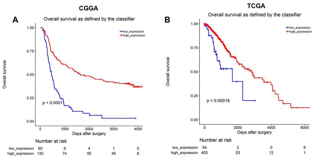 MiR-1298-3p downregulation correlates with poor survival in glioma. Association of miR-1298-3p expression with overall survival of glioma patients using (A) CGGA and (B) TCGA databases. Statistics was calculated using the Kaplan–Meier Plotter online platform.