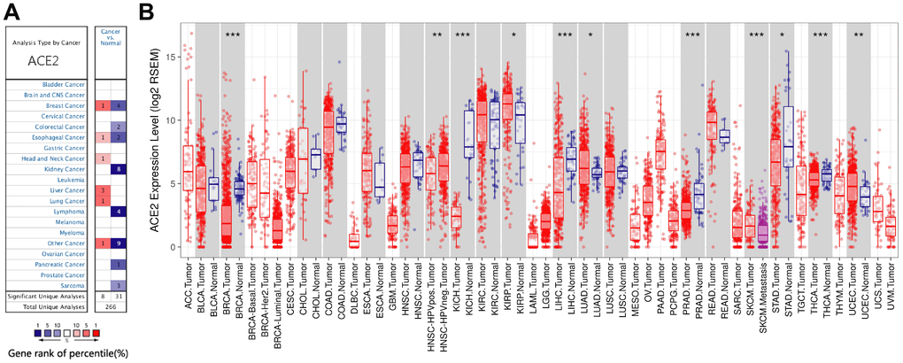 The expression levels of ACE2 in different cancers. (A) ACE2 in different cancers compared to normal tissues in the Oncomine database. (B) ACE2 expression levels of different tumor types in the TCGA database were detected by TIMER (*P**P***P