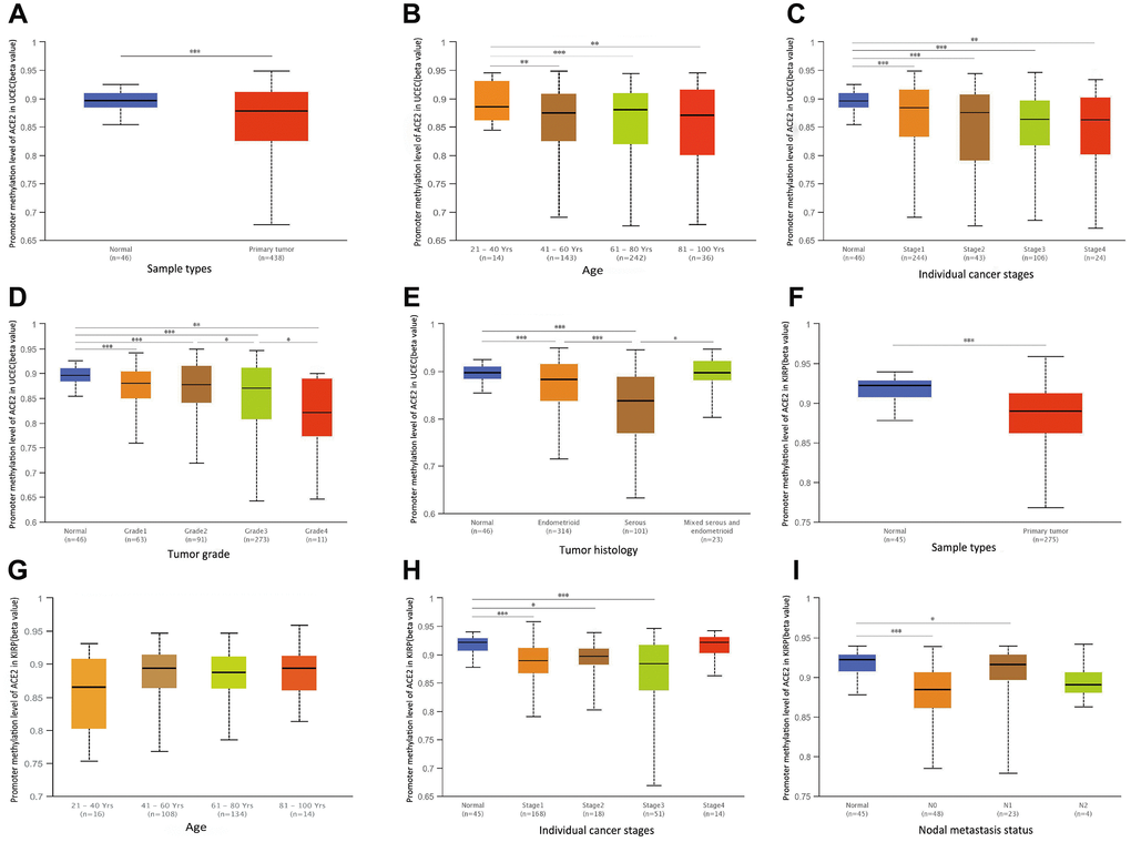 The promoter methylation levels of ACE2 in UCEC and KIRP. Promoter methylation levels of ACE2 were low in (A–E) Uterine Corpus Endometrial Carcinoma (UCEC) and (F–I) Kidney Renal Papillary Cell Carcinoma (KIRP) (*P**P***P