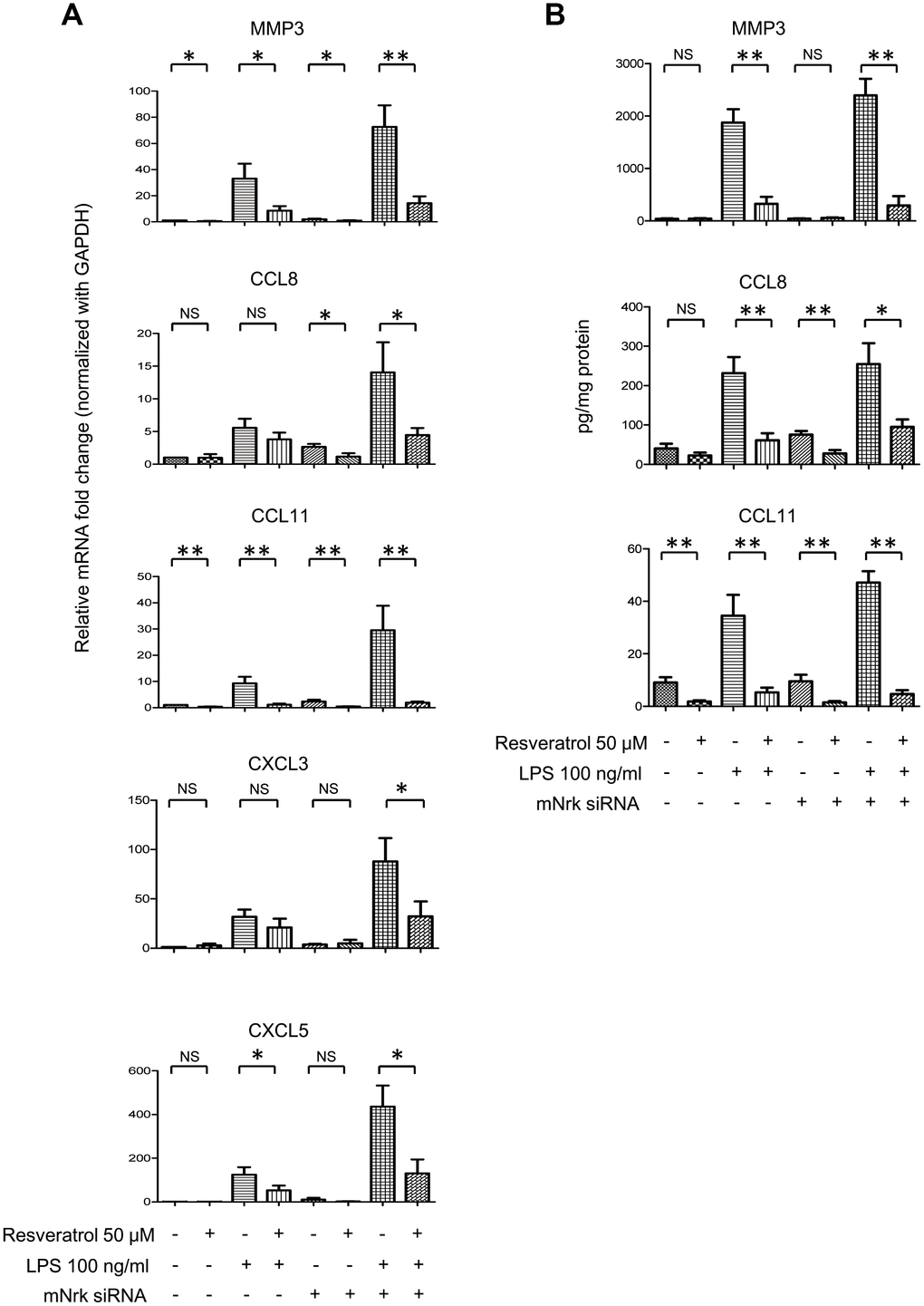 Effect of resveratrol on LPS- and Nrk siRNA-stimulated MMPs and chemokines. (A) mVSMCs were serum starved (0.5% FBS in DMEM) for 24 h and then treated with LPS (100 ng/mL) and/or resveratrol (50 μM) for 24 h. Cells were further transfected with 20 nM of negative control or mNrk siRNA for an additional 48 h. Expression of (A) MMP3 (n=8), CCL8 (n=8), CCL11 (n=8), CXCL3 (n=6) and CXCL5 (n=6) was determined by qPCR. Gene expression results of qPCR analysis were normalized to both control cells as well as GAPDH. (B) Protein levels of MMP3 (n=7), CCL8 (n=6) and CCL11 (n=7) in cultured conditioned media were determined by ELISA (normalized to total protein concentration). Scale bars: means ± SD. *, p p p0.001.