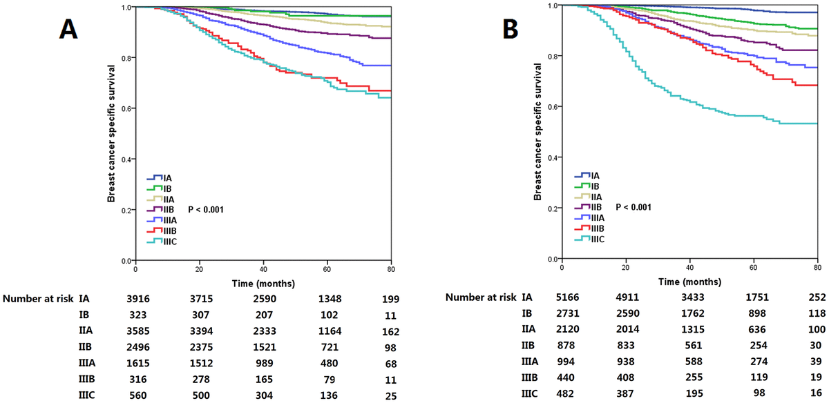 Validation Of The 8th Edition Of The American Joint Committee On Cancer