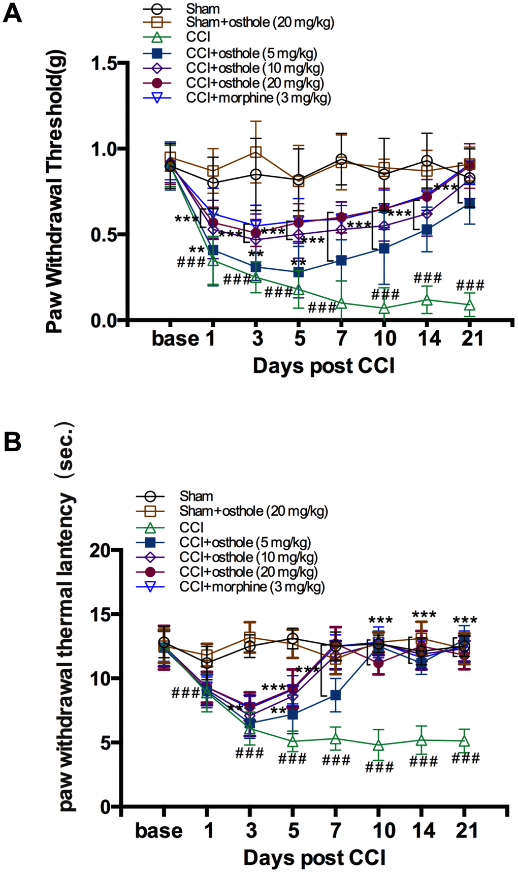 Osthole attenuates CCI-induced mechanical and thermal hyperalgesia. (A, B) Paw withdrawal threshold and Paw withdrawal latency were both significantly decreased on POD 3, maintained on POD 7. The pain threshold values of osthole-treated and morphine-treated groups were increased day by day, approaching the value of the sham group on POD 10. ###ppp