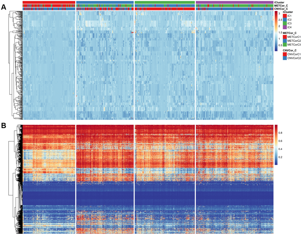 Expression patterns of subtypes based on CNVcor and METcor genes. Subtypes based on CNVcor (A) or METcor (B) genes using NMF cluster methods are indicated with colored bars.