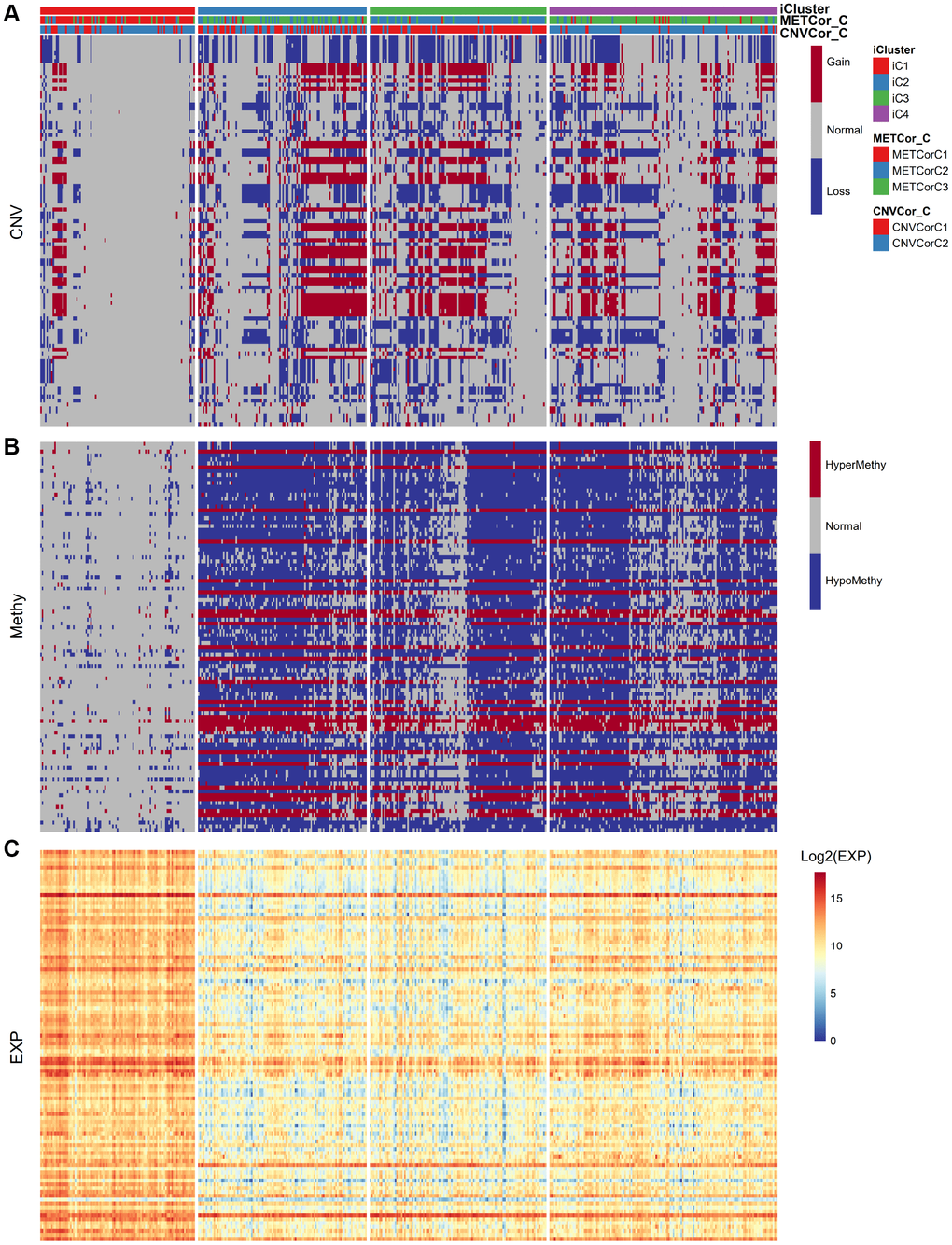 Identification of general molecular features of SKCM subtypes. (A) Distribution of DNA CNVs in iCluster subtypes. (B) Distribution of DNA MET in iCluster subtypes. (C) Heatmap of DEGs among iCluster subtypes.