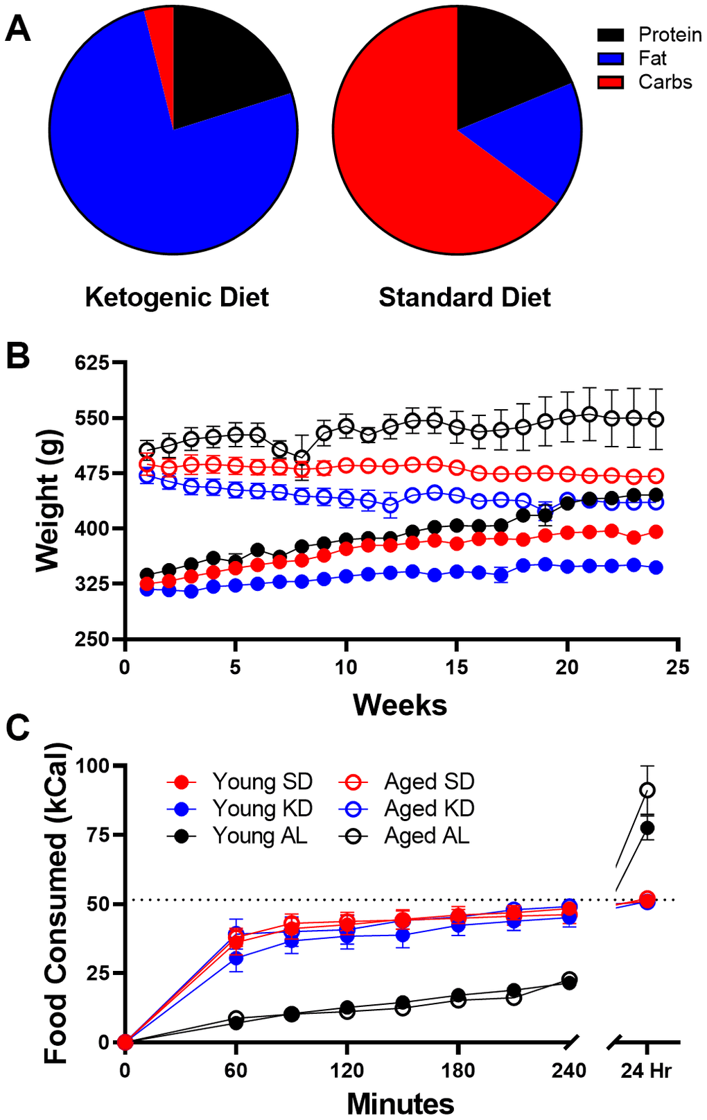 Dietary implementation. (A) Ketogenic (KD) and standard diet (SD) macronutrient compositions. (B) Weight significantly differed across age groups throughout the study, but most notably was significantly different in ad libitum (AL) fed rats relative to time restricted fed (TRF) rats. (C) The number of kcal significantly differed across the two feeding methods, as ad libitum-fed rats consumed at a slower rate than TRF rats, but consumed significantly more during a 24 hour period. Dotted line indicates kcal allotment given to TRF groups (~51 kcal). Data are represented as group mean {plus minus}1 standard error of the mean (SEM). In panels (B, C) ad libitum n = 6 young, n = 5 aged; TRF standard diet n = 7 young, n = 5 aged; TRF ketogenic diet n = 7 young, n = 4 aged.