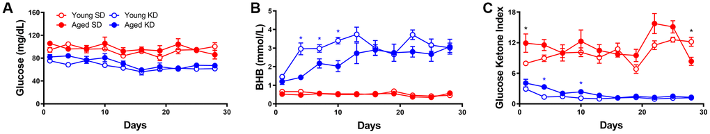 Keto-adaptation differs by age. (A) Glucose, (B) BHB and (C) GKI levels of young and aged rats consuming either a KD or SD as a function of days on the diet indicate an age-dependent delay in keto-adaptation. Data are represented as group mean ±1 standard error of the mean (SEM), *p