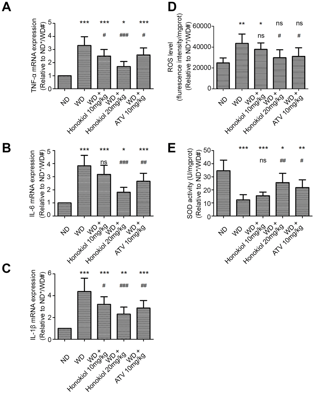 Effect of honokiol on inflammatory response and oxidative stress in the carotid tissue of atherosclerotic mice. (A–C) The mRNA expression of TNF-α (A), IL-6 (B), and IL-1β (C) in carotid tissue was detected by real-time PCR. (n = 6; * P P P P P P D, E) The ROS level (D) and SOD activity (E) in carotid tissue were detected by commercial kits in the indicated group. (n = 6; * P P P P P P 