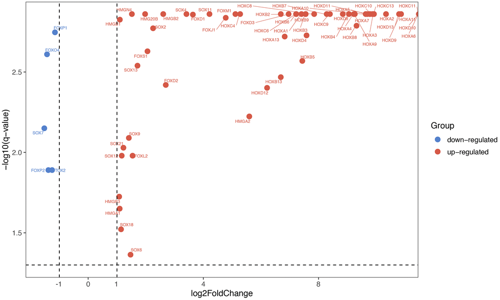 Differentially expressed HMG-box genes were displayed via volcano chart.