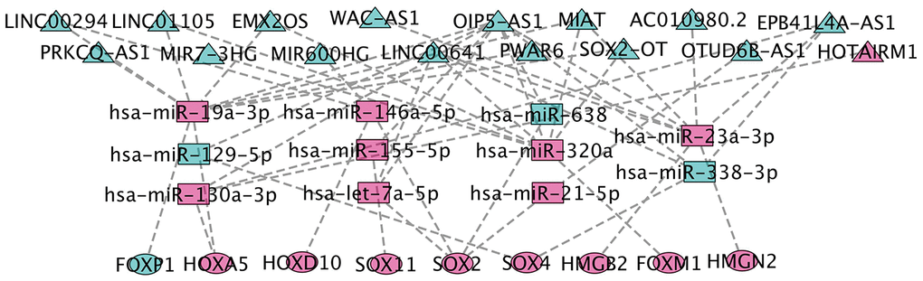 CeRNA network construction. The triangles represent lncRNAs, and circles mean mRNAs. The color green means down-regulated genes, and red means up-regulated genes.