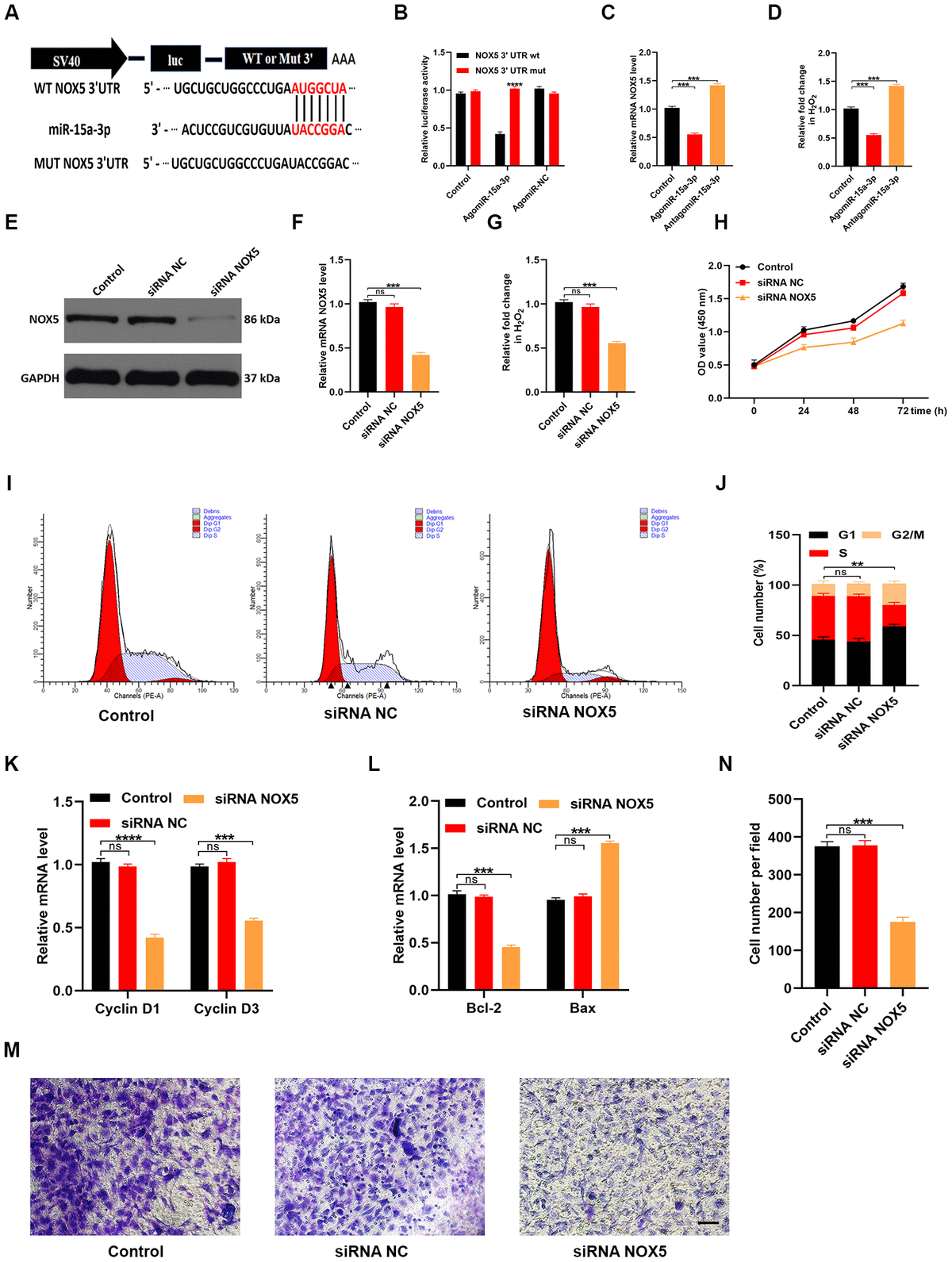 Inhibition Of Circulating Exosomal MicroRNA-15a-3p Accelerates Diabetic ...