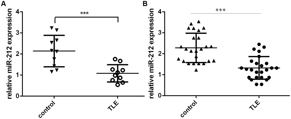 miR-212 expression is downregulated in TLE patients. Shown are levels of hippocampal (A) and serum (B) miR-212 expression in TLE patients and their matched controls. ***p