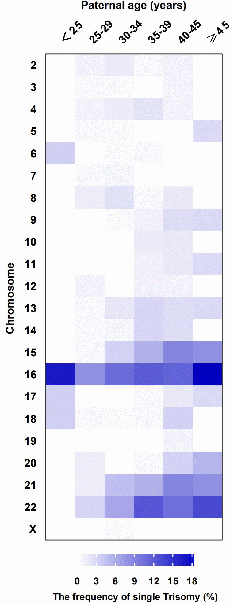 The distribution of frequency in single Trisomy by paternal age groups. Frequency of chromosomes (aneuploid: trisomy) in different paternal age groups are represented by a colour gradient, in the heat map.