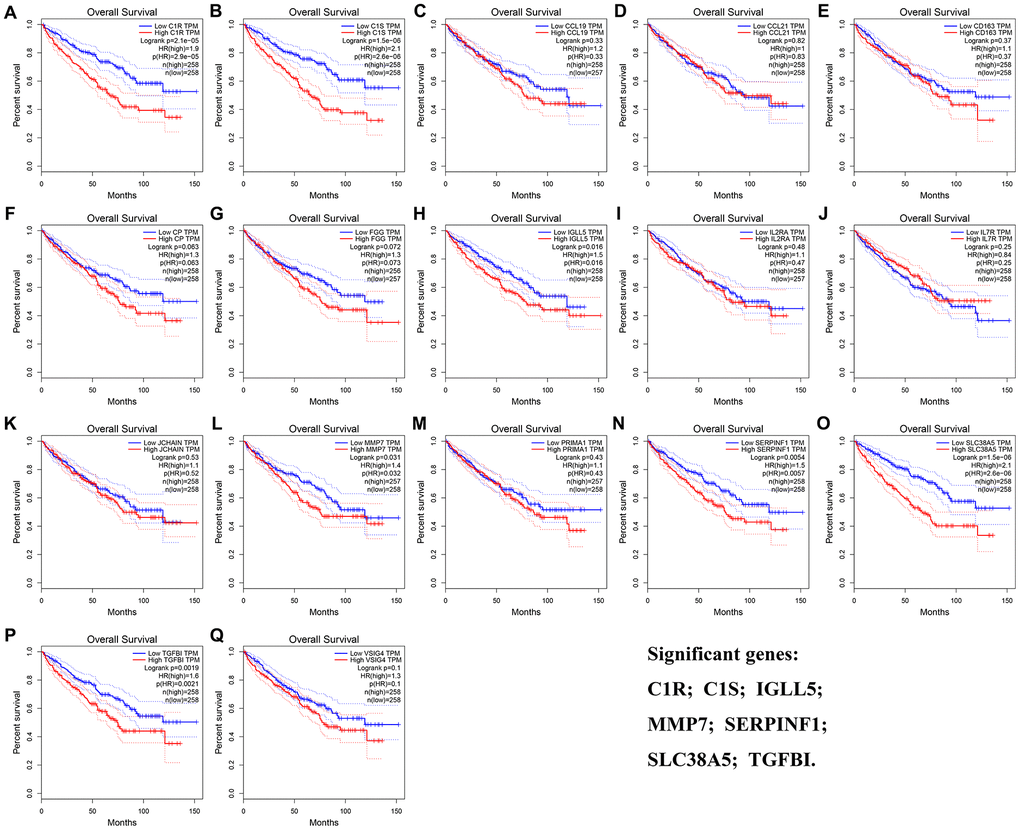 Overall survival analyses on DEGs based on the TCGA-KIRC data. (A) C1R. (B) C1S. (C) CCL19. (D) CCL21. (E) CD163. (F) CP. (G) FGG. (H) IGLL5. (I) IL2RA. (J) IL7R. (K) JCHAIN. (L) MMP7. (M) PRIMA1. (N) SERPINF1. (O) SLC38A5. (P) TGFBI. (Q) VSIG4.