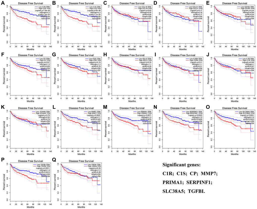 Disease-free survival analyses on DEGs based on the TCGA-KIRC data. (A) C1R. (B) C1S. (C) CCL19. (D) CCL21. (E) CD163. (F) CP. (G) FGG. (H) IGLL5. (I) IL2RA. (J) IL7R. (K) JCHAIN. (L) MMP7. (M) PRIMA1. (N) SERPINF1. (O) SLC38A5. (P) TGFBI. (Q) VSIG4.