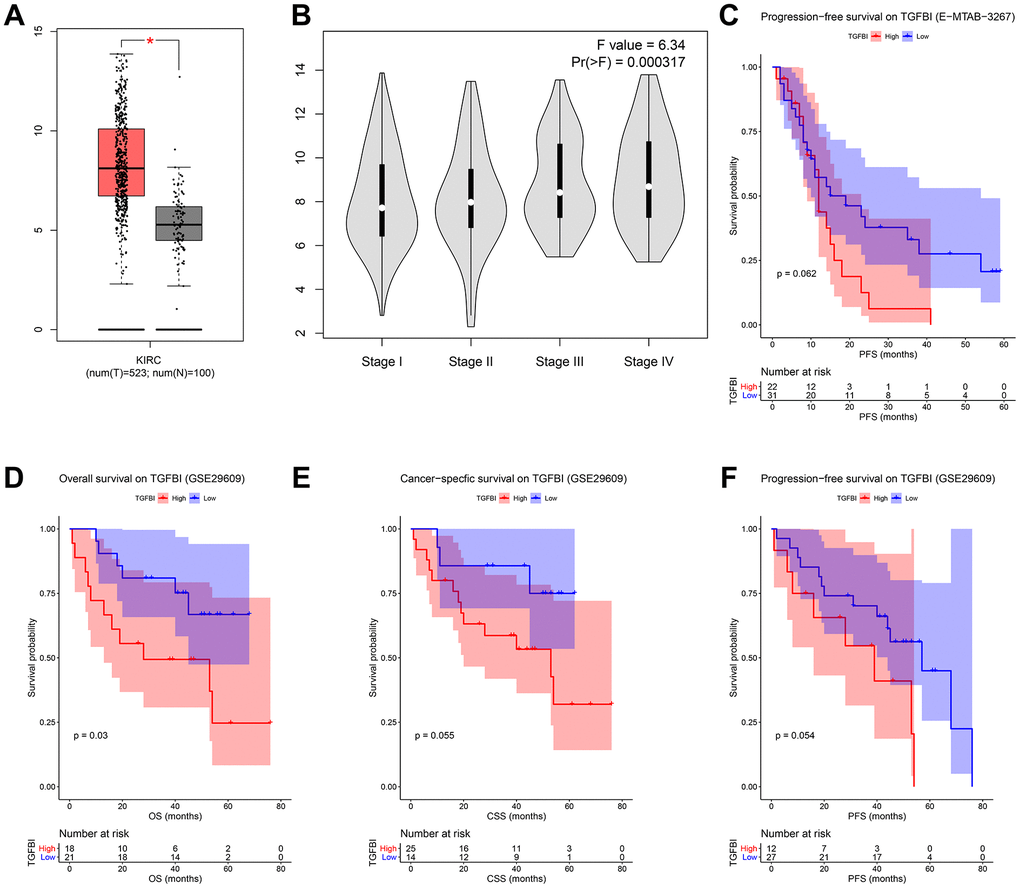 (A) Expression comparison of hub gene in ccRCCs and normal tissues by GEPIA. (B) Stage plot of TGFBI across different pathological stages in the TCGA-KIRC data. (C) Survival analysis of the association between TGFBI expression and progression free survival time in ccRCC (E-MTAB-3267). Survival analysis of the association between TGFBI expression and overall survival (D), cancer specific survival (E), progression free survival (F) time in ccRCC (GSE29609).