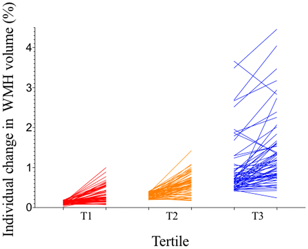 Individual participants’ changes in WMH volume between baseline and follow-up by tertile of baseline WMH volume. All participants (n=191) were divided into three groups by tertile of baseline WMH volume, with 64 participants in T1, 64 participants in T2, and 63 participants in T3. Each line represents an individual participant, linking baseline WMH volume (left) to follow-up WMH volume (right) of each tertile column. Participants in T1 had the least WMH progression and those in T3 had the most WMH progression. WMH = white matter hyperintensities.