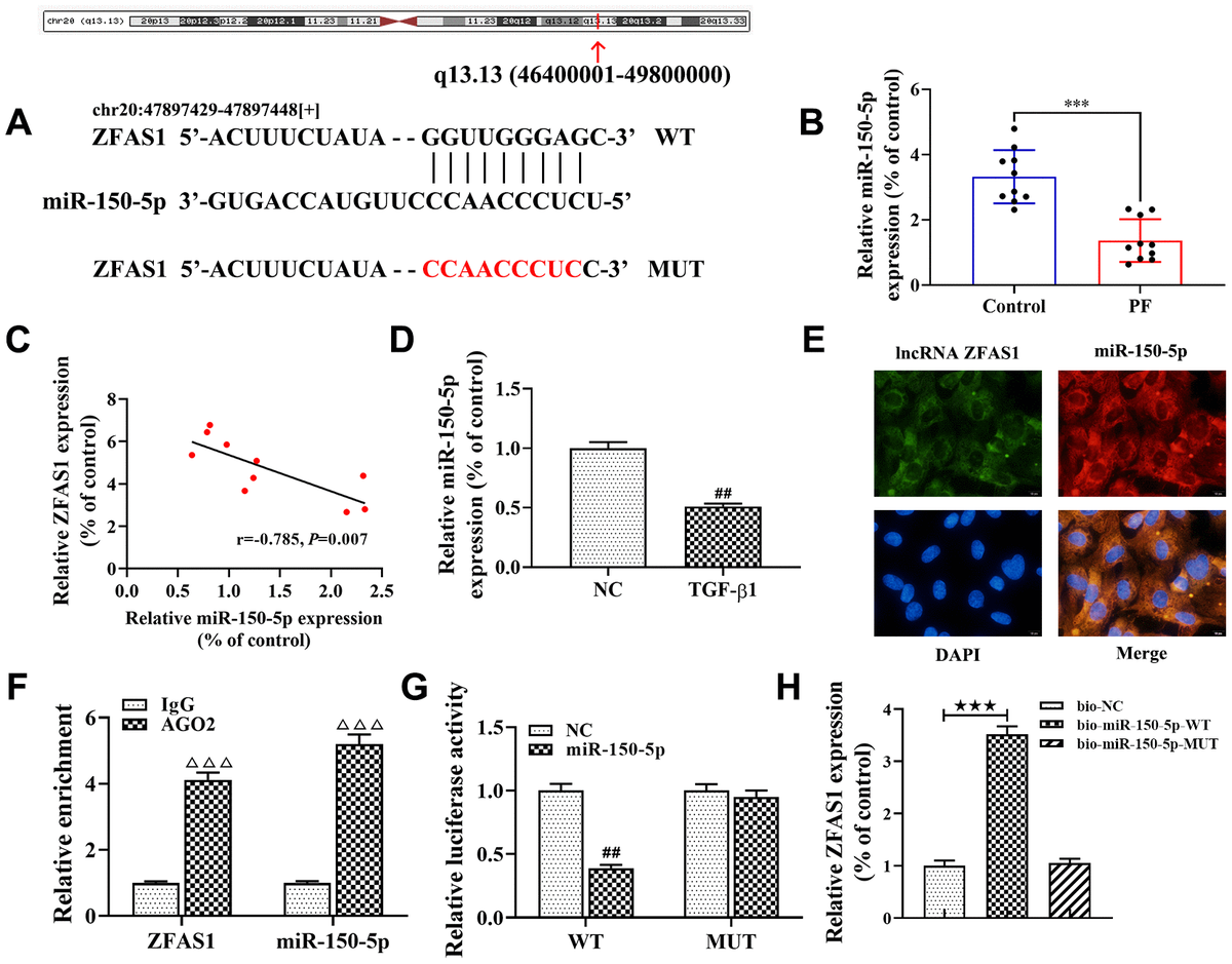 Lncrna Zfas1 Promotes Lung Fibroblast To Myofibroblast Transition And