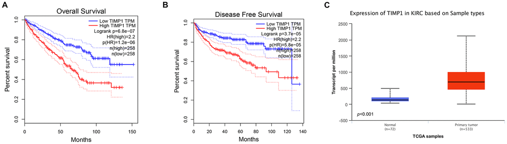 Univariate survival analysis of hub genes was performed using Kaplan-Meier curves. TIMP1 showed significant differences in both OS (A) and DFS (B) in ccRCC samples (Logrank P C) Transcriptional levels of TIMP1 expression were found expressed in 533 ccRCC tissues compared with 72 normal tissues (p