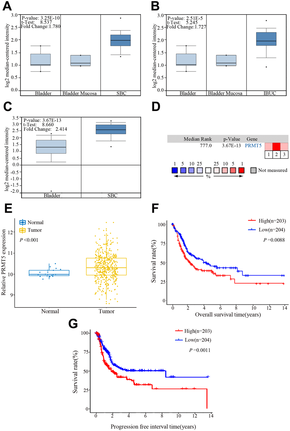 PRMT5 expression in bladder cancer in the Oncomine and The Cancer Genome Atlas (TCGA) databases. (A–C) Comparison of the PRMT5 expression levels in the Dyrskjot Bladder 3 and Sanchez-Carbayo Bladder 2 data sets of the Oncomine database. The threshold: P value: 1E-4, fold change: 1.5, gene rank: 10%. (D) A median-ranked analysis of the Dyrskjot Bladder 3 (1, 2) and Sanchez-Carbayo Bladder 2 (3) data sets from the Oncomine database. The colored squares revealed the median rank for PRMT5 across the three analyses (vs normal tissue). (E) Comparison of the PRMT5 expression level in bladder cancer and the normal tissue from the TCGA database. (F, G) Overall and progression-free survival times in bladder cancer patients with low versus high expression of PRMT5 assessed by Kaplan-Meier analysis from the TCGA cohorts. SBC: superficial bladder cancer, IBUC: infiltrating bladder urothelial carcinoma.
