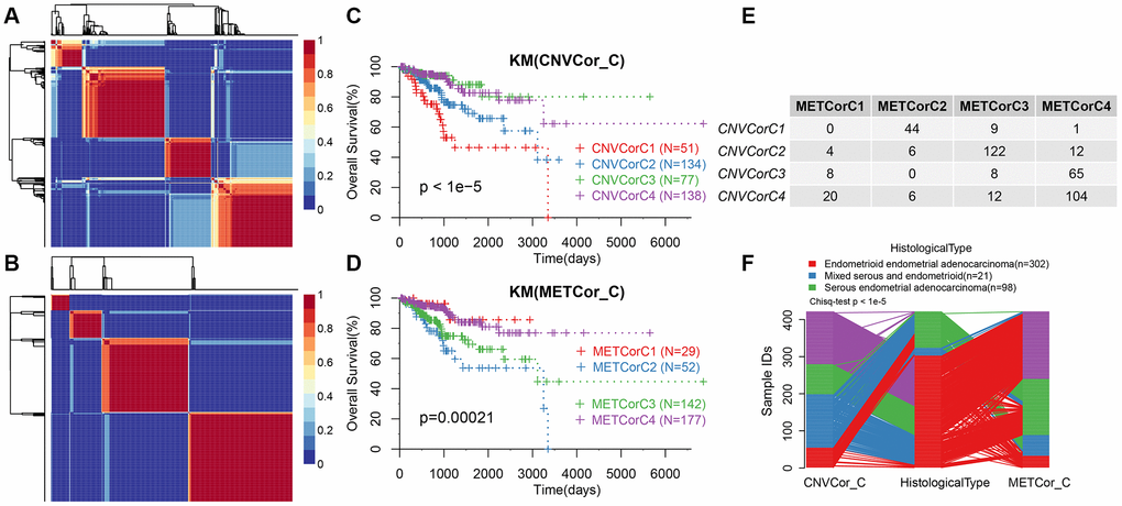 Molecular subtypes based on CNV-G and MET-G genes. (A) NMF-based clustering of CNV-G. (B) NMF-based clustering of MET-G. (C) KM survival curve of CNV-G subtype. (D) KM survival curve of MET-G subtype. (E) The overlap between the CNV-G subtype and the MET-G subtype. (F) The overlap between the CNV-G subtype, the MET-G subtype and the histological subtype.