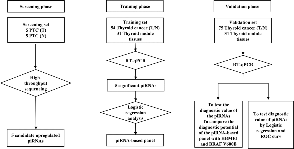 Flow diagram of the study design illustrating how the patients and controls were divided into screening, training and validation phase of the study.