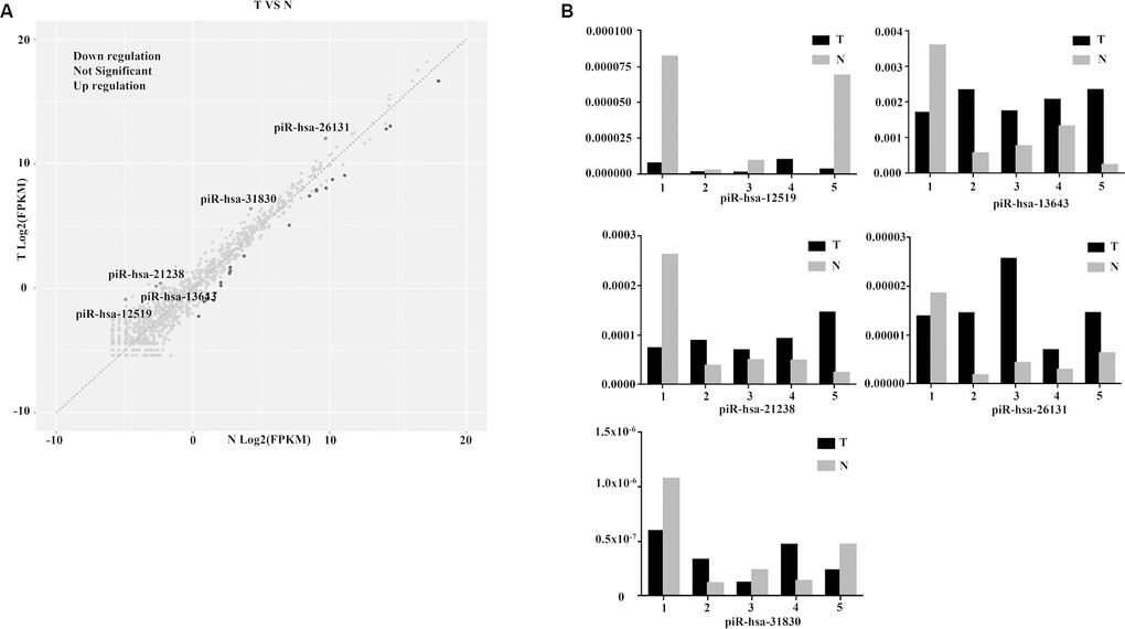 Diagnostic performance of piR-13643 and piR-21238 in the screening phase of the study. (A) The scatter plot was used for assessing the piRNAs expression variation. (B) Based on the results of NGS, five piRNAs (piR-31830, piR-13643, piR-26131, piR-12519, piR-21238) were chosen as potential endogenous controls for normalization of RT-qPCR data.